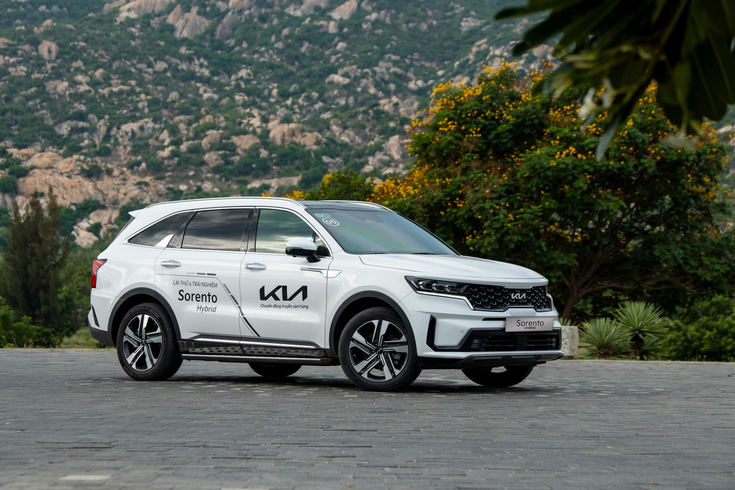 Kia tăng ưu đ&atilde;i cho nhiều d&ograve;ng xe trong th&aacute;ng 12 l&ecirc;n đến 110 triệu đồng- Ảnh 2.