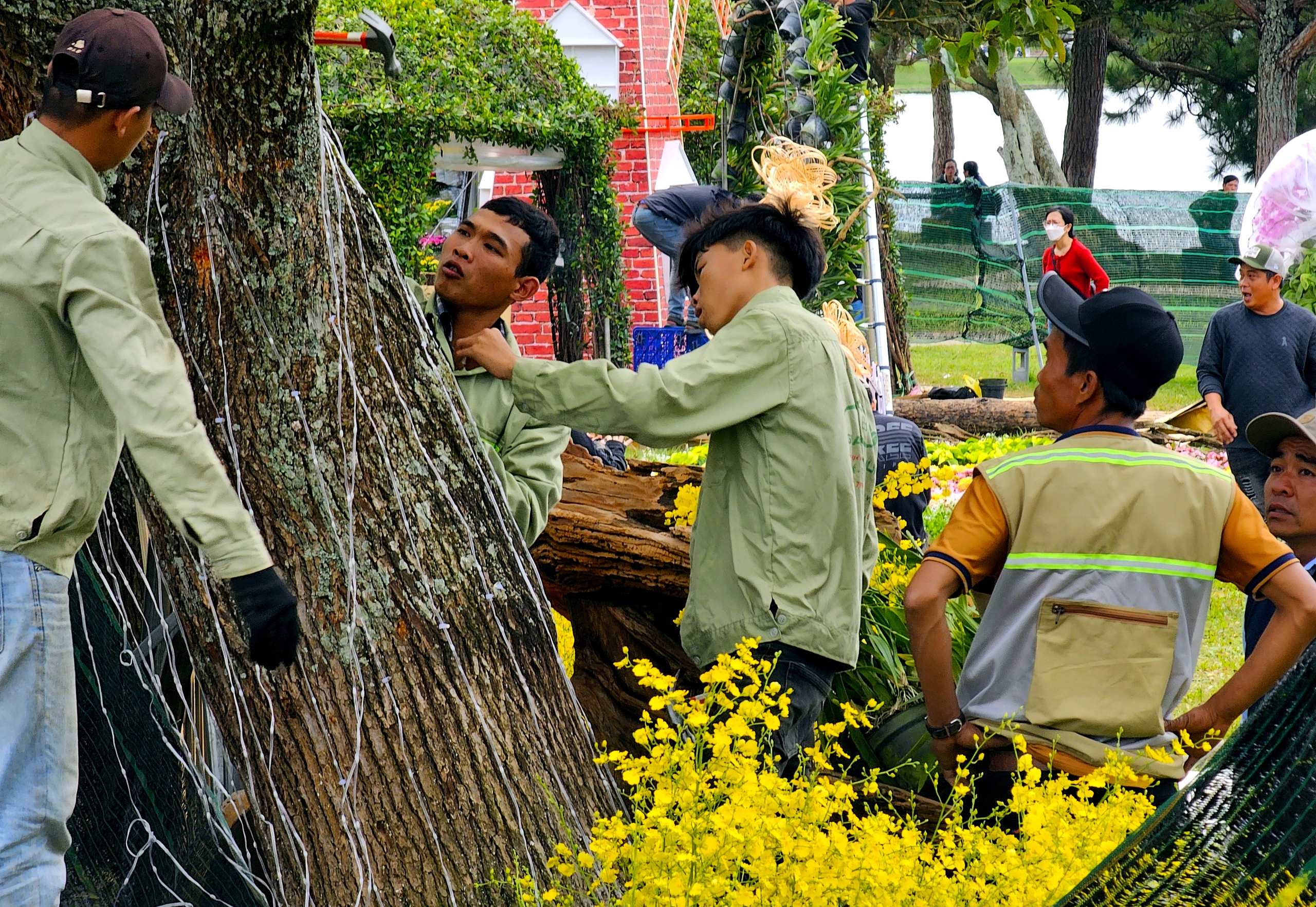 H&igrave;nh ảnh Đ&agrave; Lạt trước ng&agrave;y khai hội Festival Hoa 2024- Ảnh 13.