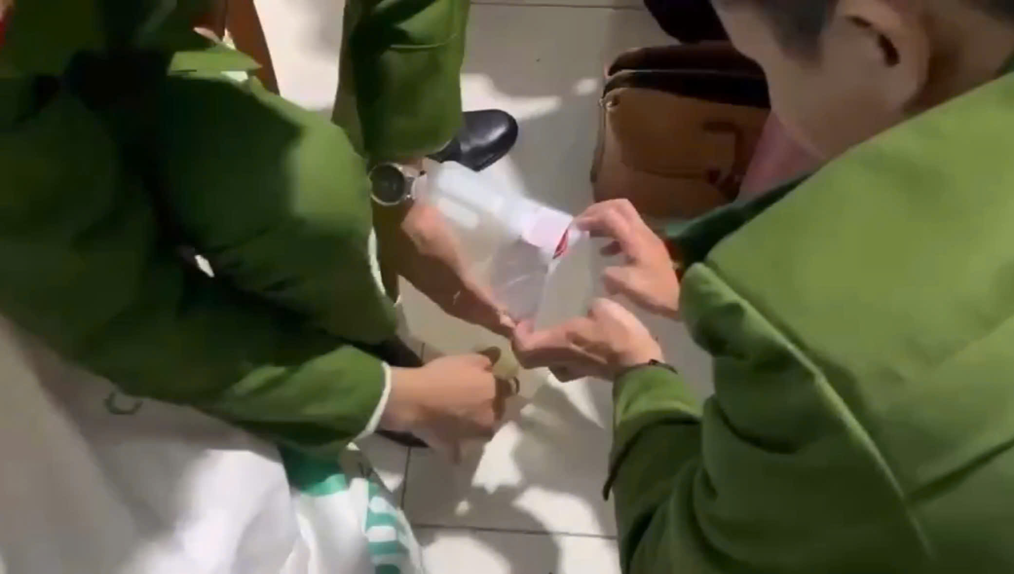 R&ugrave;ng m&igrave;nh cảnh l&agrave;m gi&aacute; đỗ bằng h&oacute;a chất cấm- Ảnh 1.