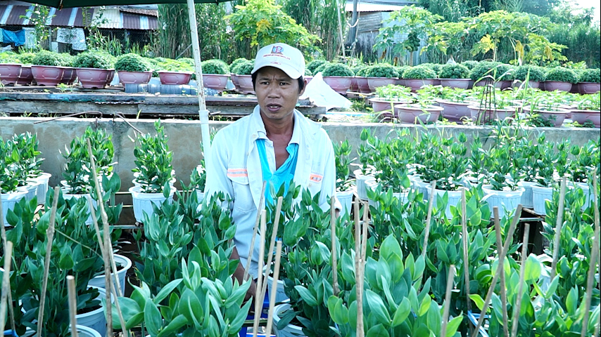 VIDEO: Nỗi lòng ở làng hoa Tết trăm tuổi- Ảnh 11.