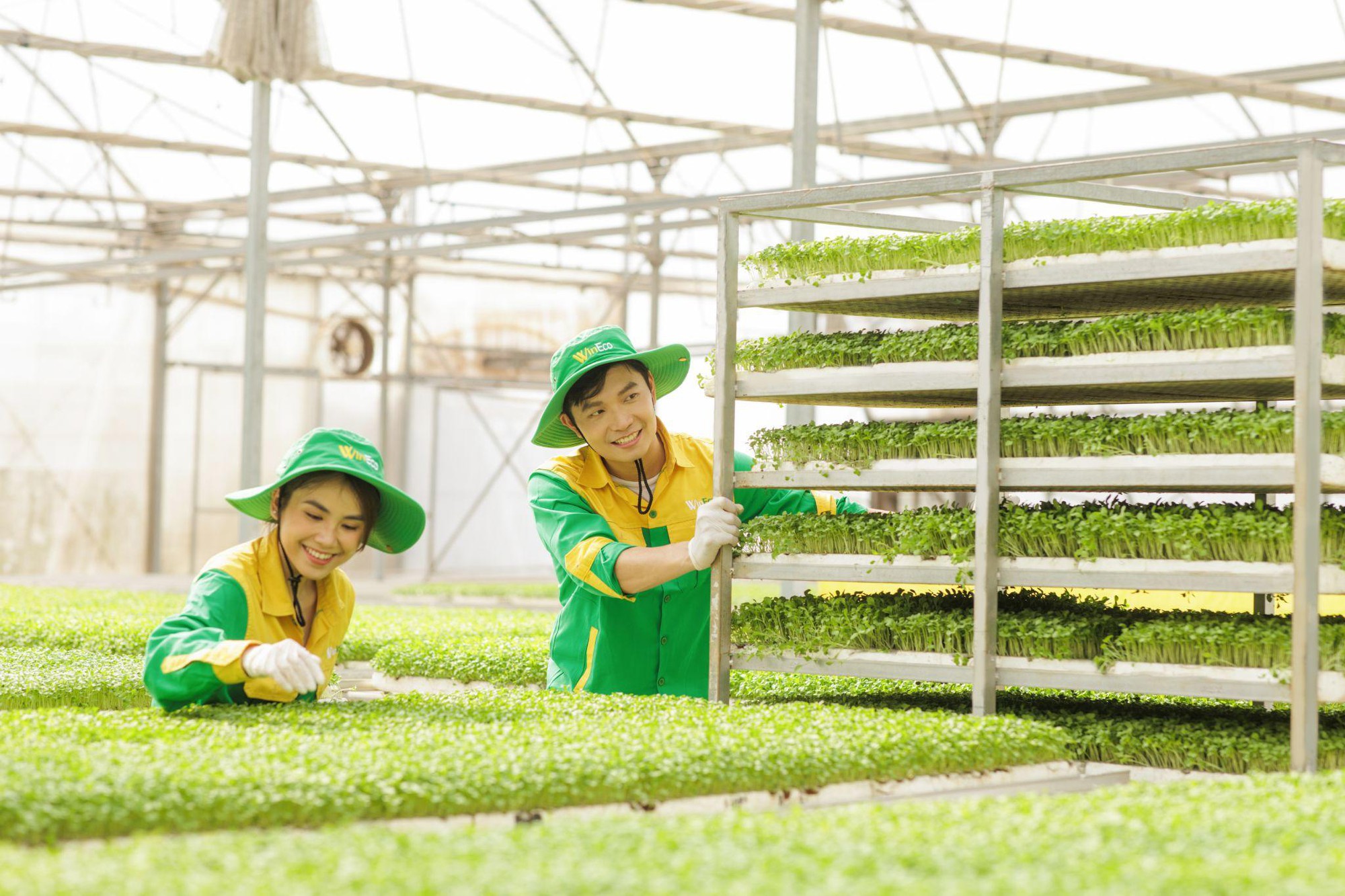 WinEco: Gắn kết n&ocirc;ng nghiệp sạch v&igrave; sức khỏe cộng đồng- Ảnh 3.