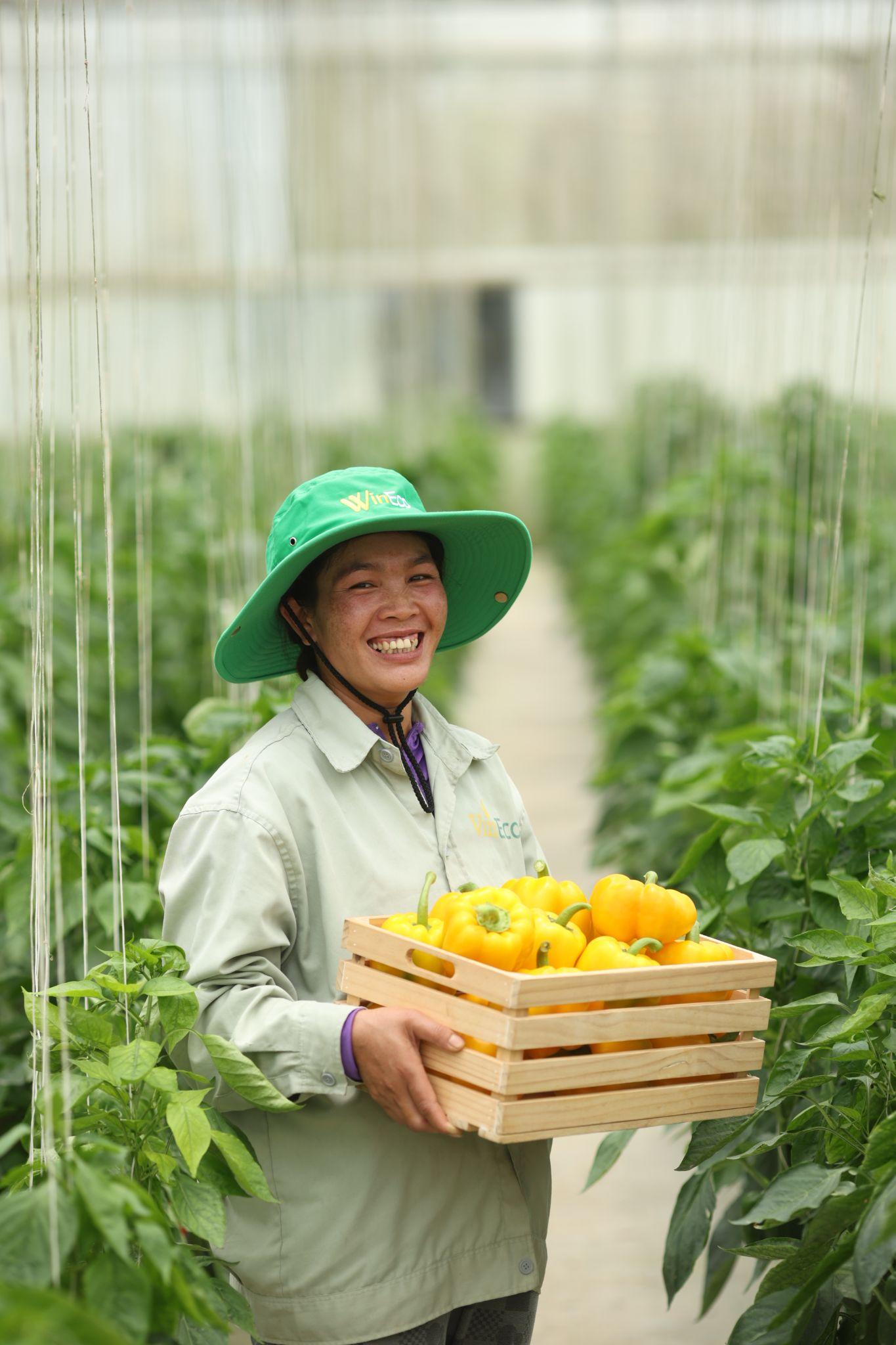 WinEco: Gắn kết n&ocirc;ng nghiệp sạch v&igrave; sức khỏe cộng đồng- Ảnh 4.