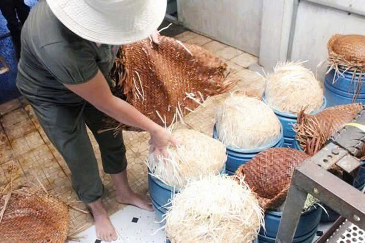 Mua gi&aacute; đỗ ng&acirc;m h&oacute;a chất ở B&aacute;ch Ho&aacute; Xanh, người d&acirc;n c&oacute; đ&ograve;i được quyền lợi?- Ảnh 1.