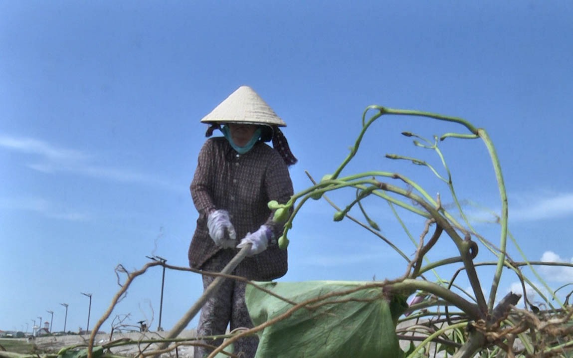 Hành động nhỏ, ý nghĩa lớn