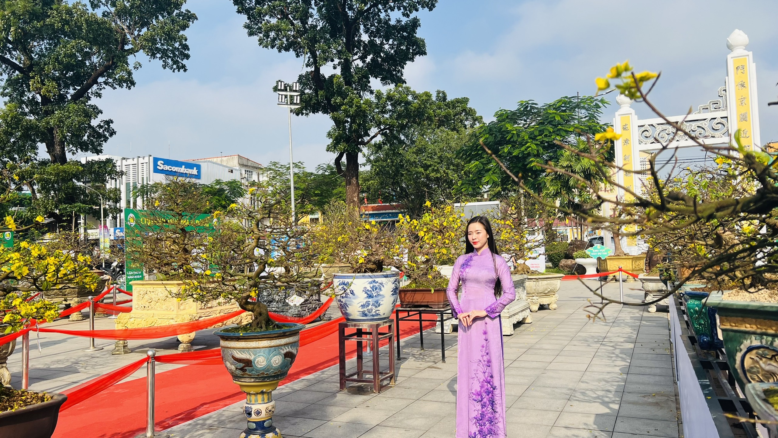 Ngẩn ngơ trước vẻ đẹp của mai vàng xứ Huế- Ảnh 14.