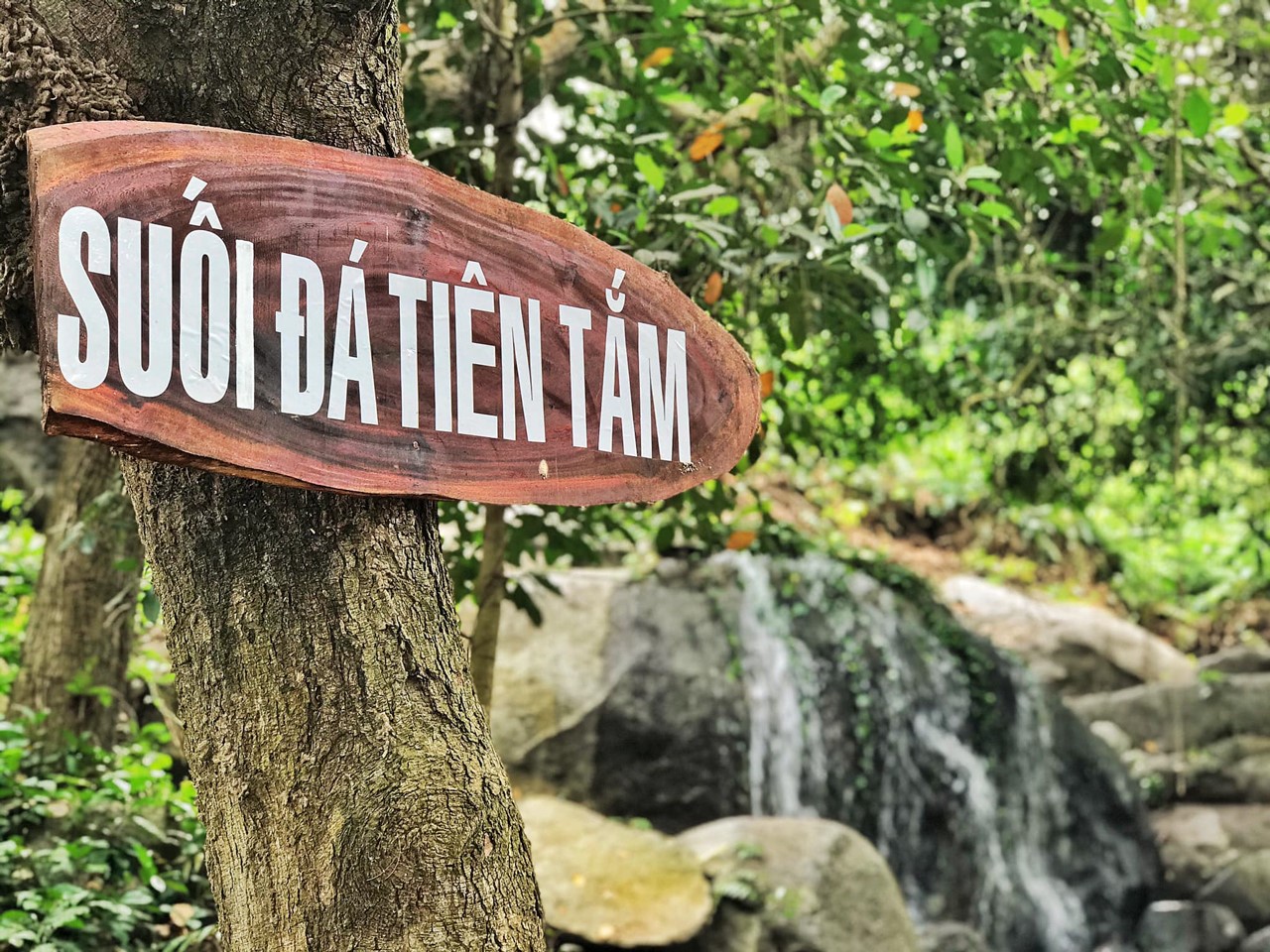 Những l&iacute; do để bạn n&ecirc;n đến Tức Dụp- Ảnh 7.