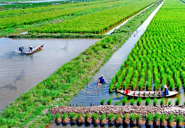 Bộ trưởng L&ecirc; Minh Hoan: Lan tỏa s&acirc;u sắc hơn nữa tư duy kinh tế n&ocirc;ng nghiệp- Ảnh 4.