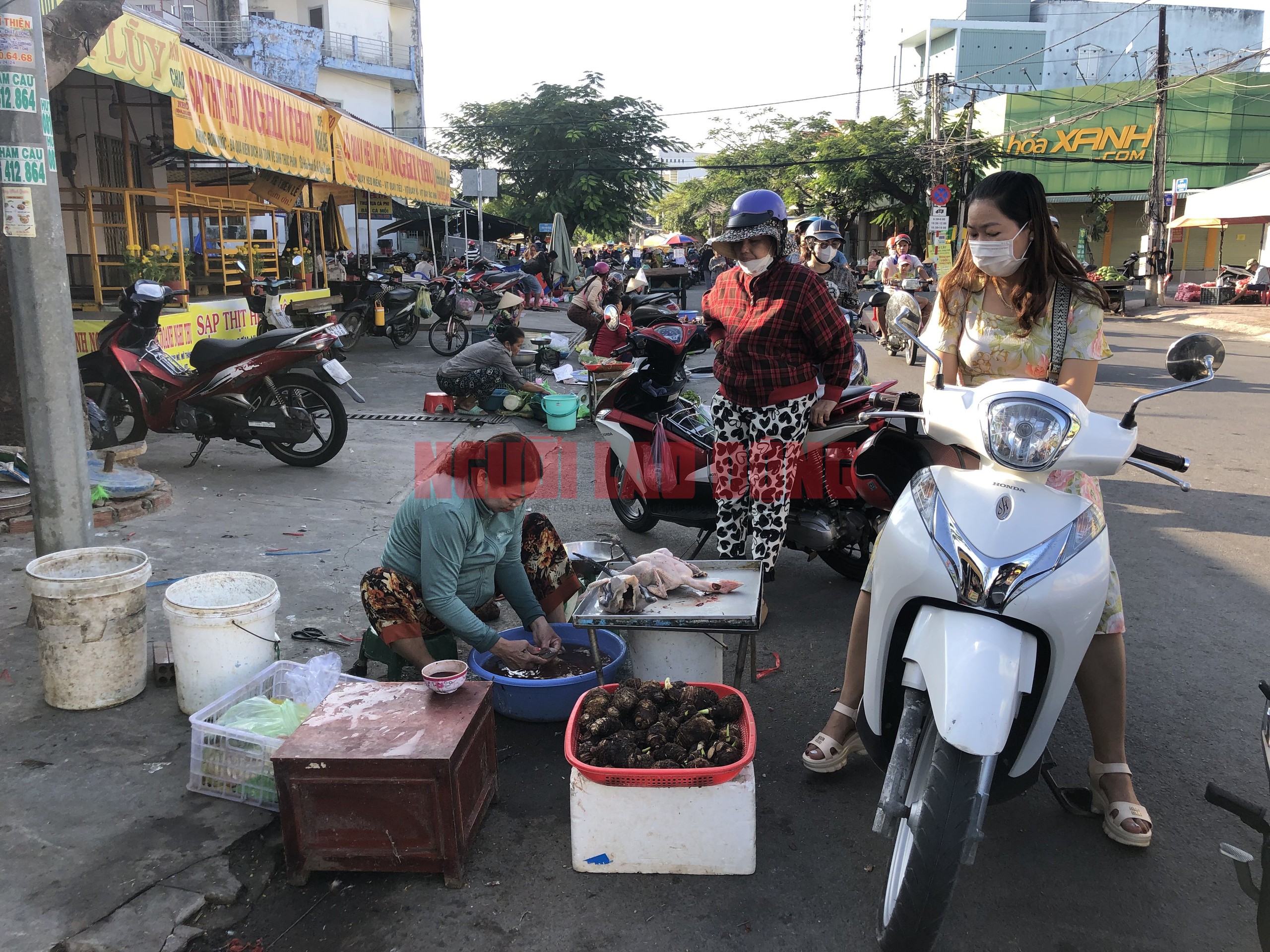 CLIP: Mùng 3 Tết, người miền Tây chen chân mua gà trống- Ảnh 5.