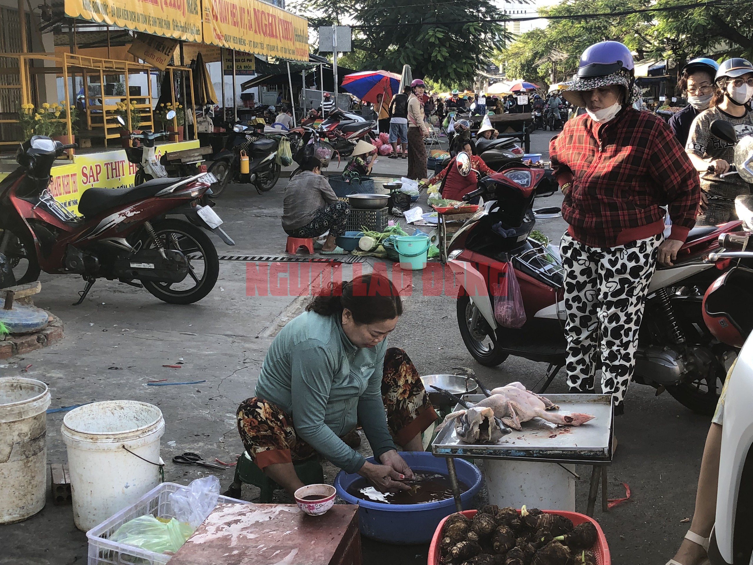 CLIP: Mùng 3 Tết, người miền Tây chen chân mua gà trống- Ảnh 6.