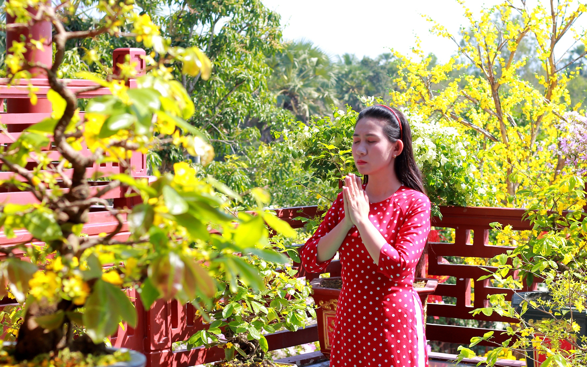 Dòng người "rồng rắn" lên Bảy Núi du xuân