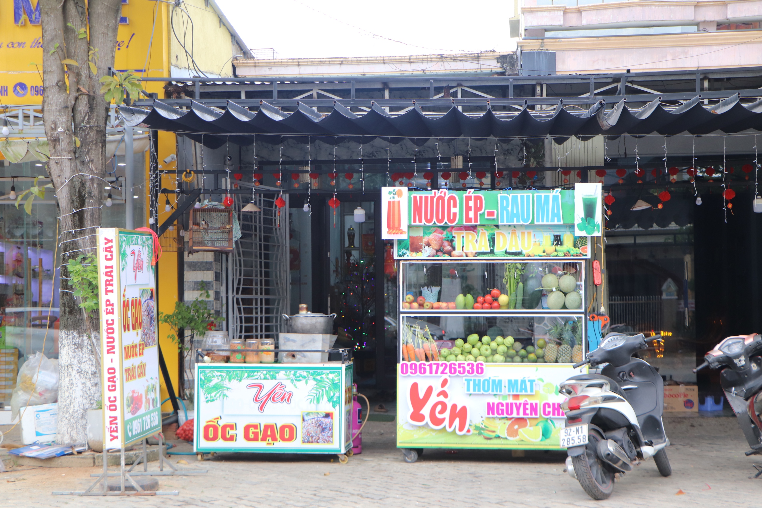 Ốc gạo