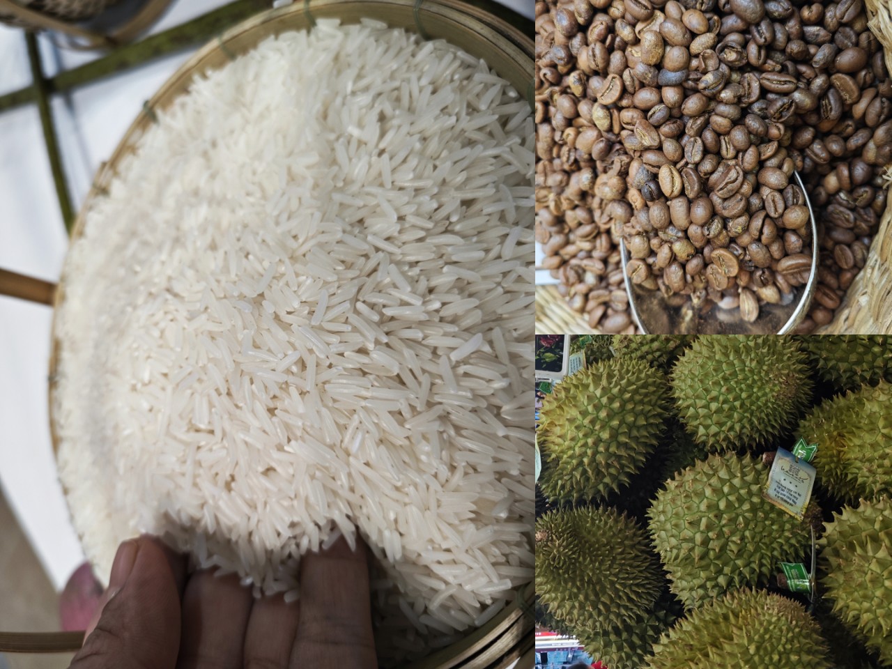 Sầu riêng, cà phê... tiếp tục trúng giá- Ảnh 3.