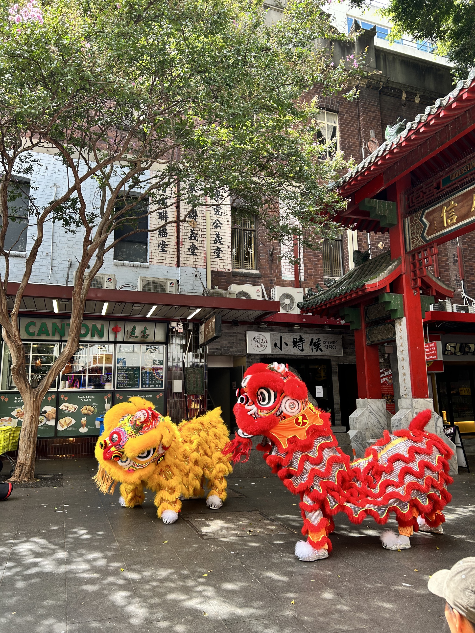 Đến China Town (Sydney) đón năm Rồng- Ảnh 2.
