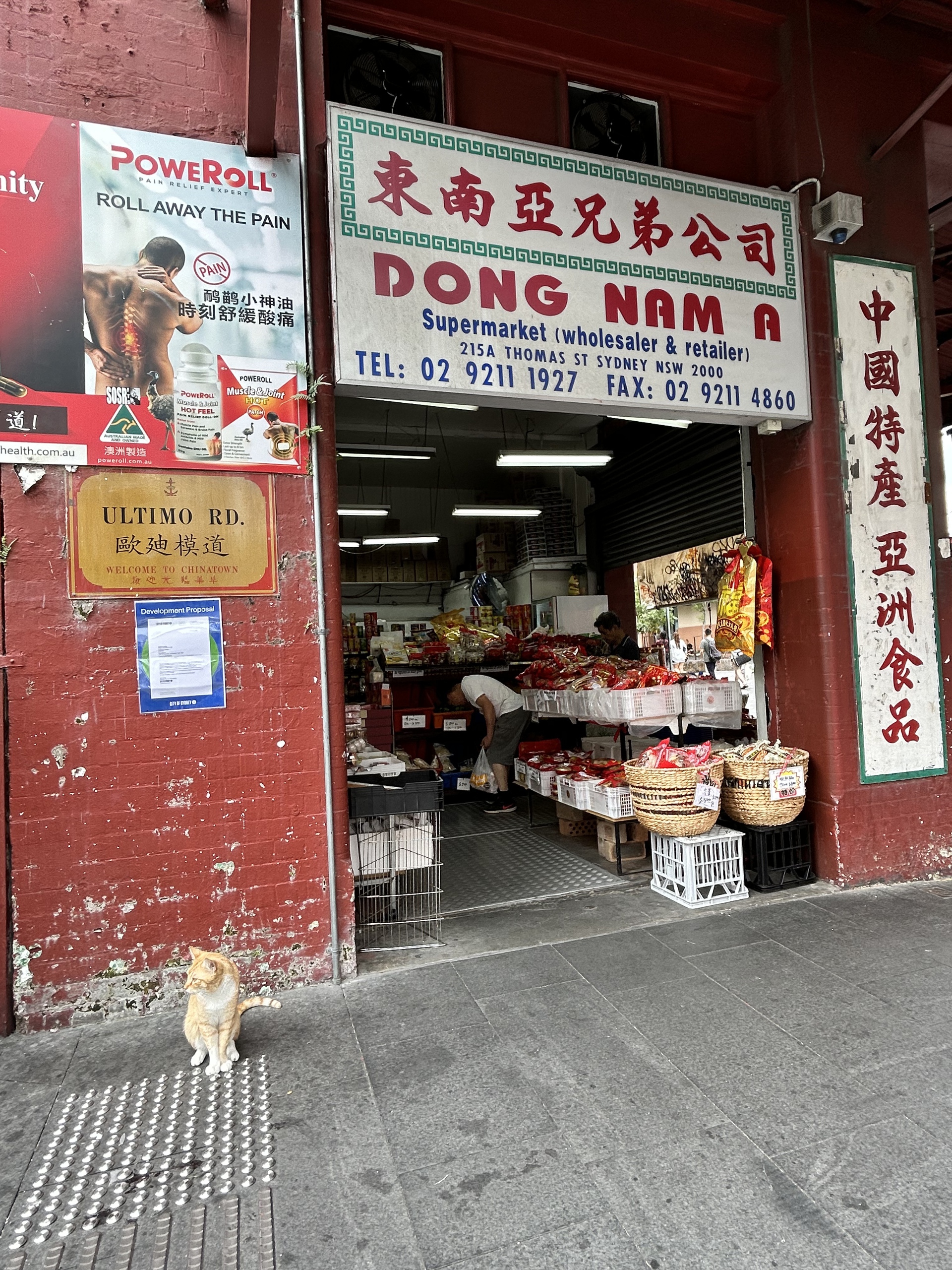 Đến China Town (Sydney) đón năm Rồng- Ảnh 4.