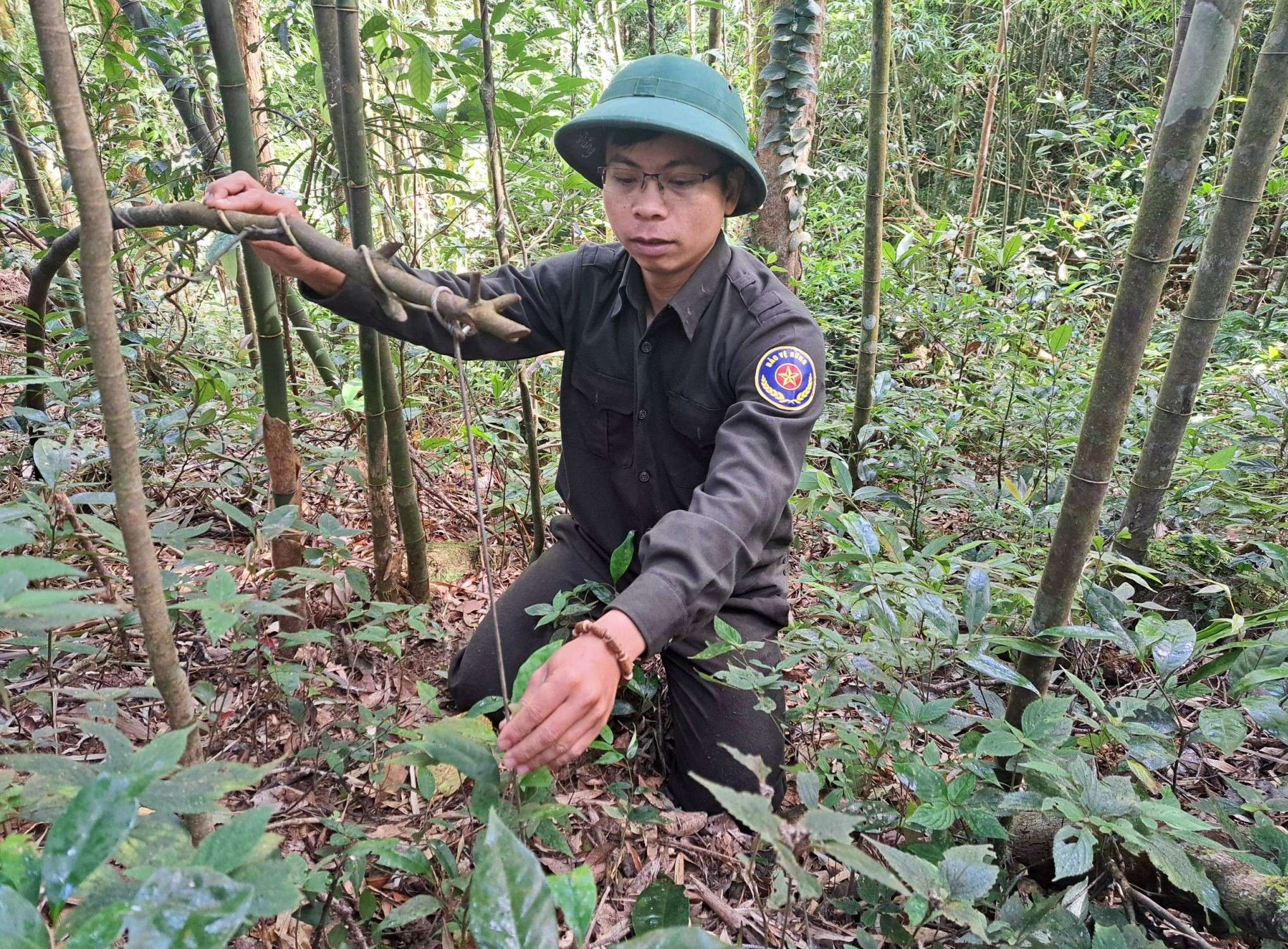 Gỡ bẫy th&uacute; rừng "mỏi tay" tr&ecirc;n d&atilde;y Trường Sơn- Ảnh 2.