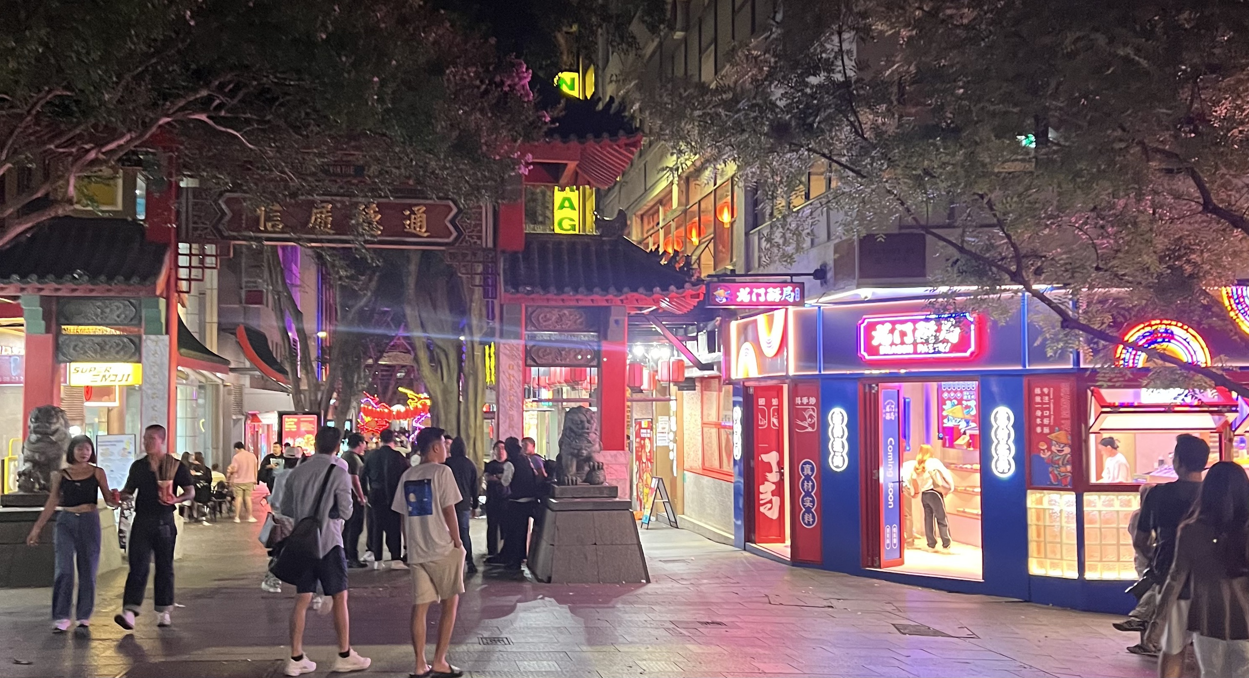 Đến China Town (Sydney) đón năm Rồng- Ảnh 8.