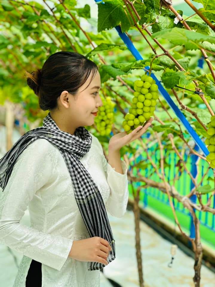Vườn nho mẫu đơn đắt đỏ ở Cần Thơ- Ảnh 5.