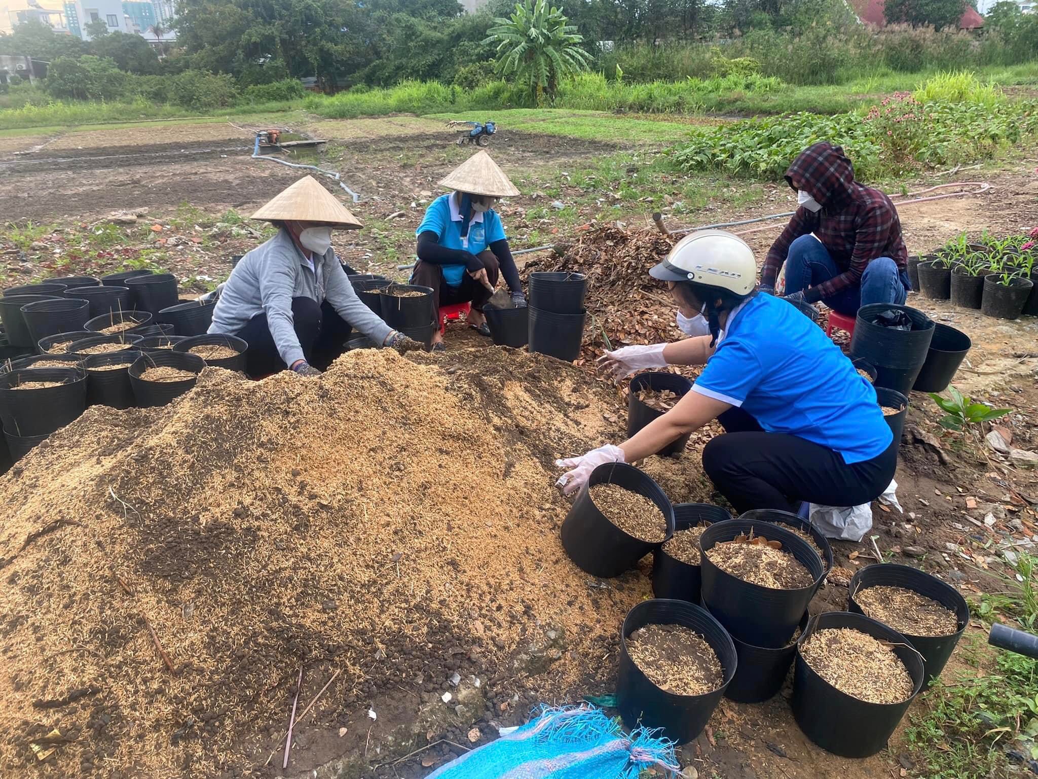 Những khu phố xanh m&agrave;u l&aacute;- Ảnh 3.