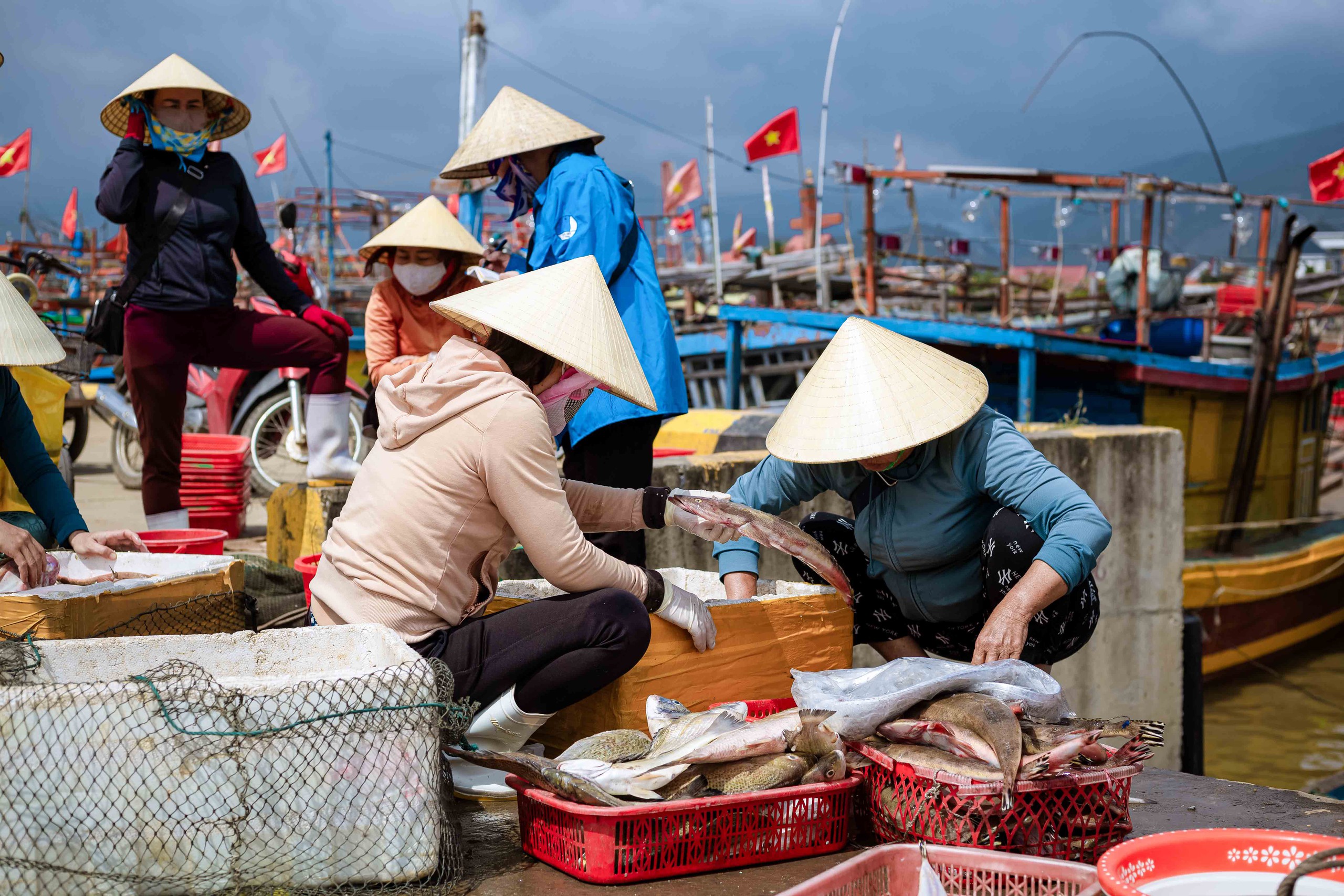 Đầu năm k&eacute;o 'lộc biển', ngư d&acirc;n thu tiền triệu mỗi ng&agrave;y- Ảnh 2.