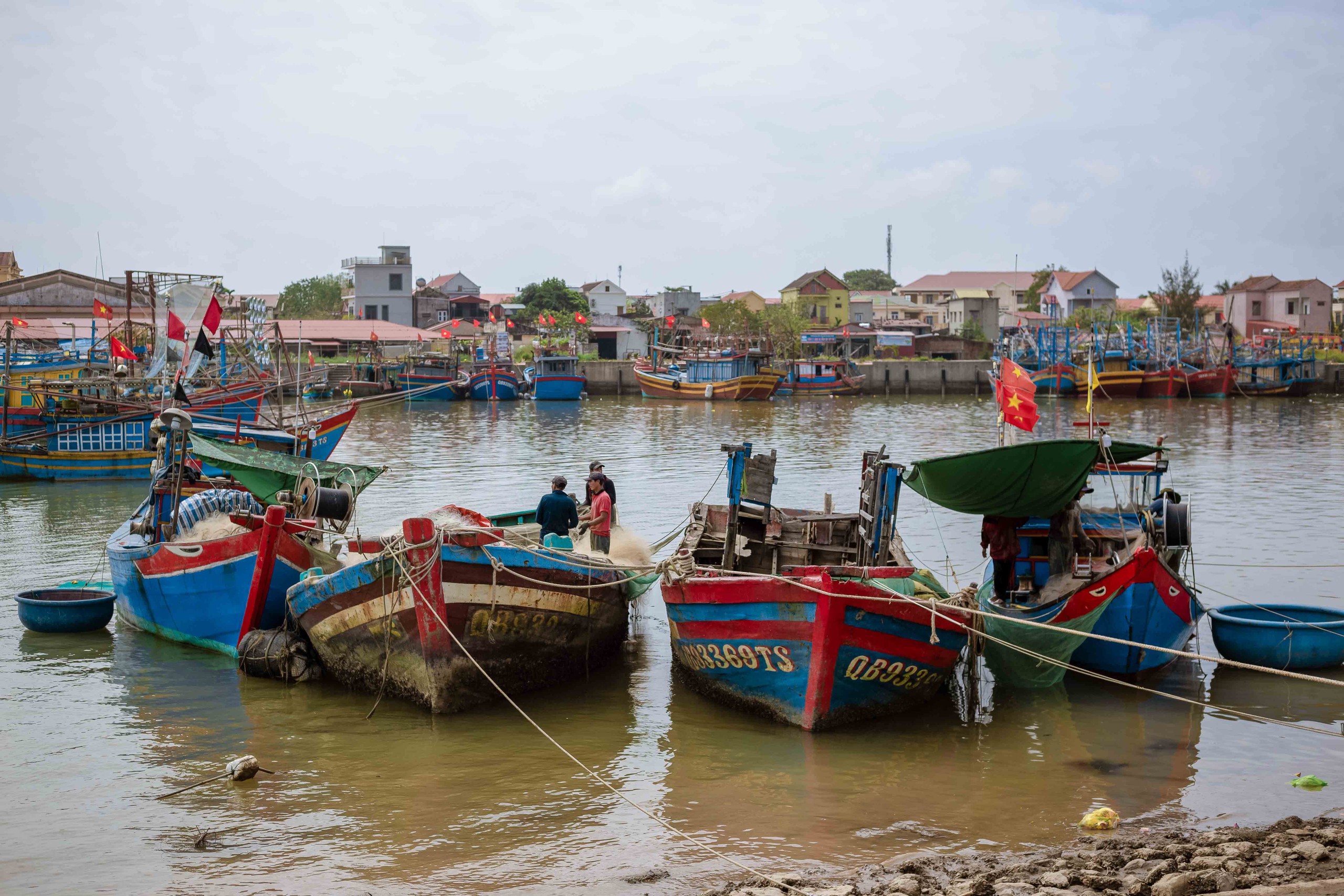 Đầu năm k&eacute;o 'lộc biển', ngư d&acirc;n thu tiền triệu mỗi ng&agrave;y- Ảnh 8.