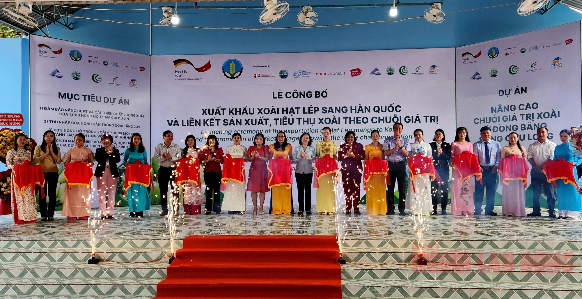 An Giang xuất khẩu lô xoài cát hạt lép đầu tiên sang Hàn Quốc- Ảnh 1.