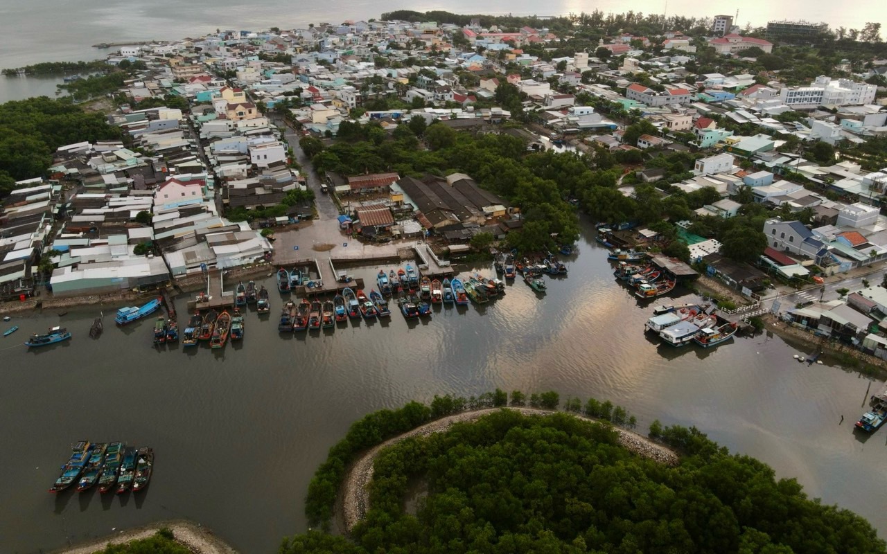Thu hút đầu tư cho kinh tế xanh Cần Giờ