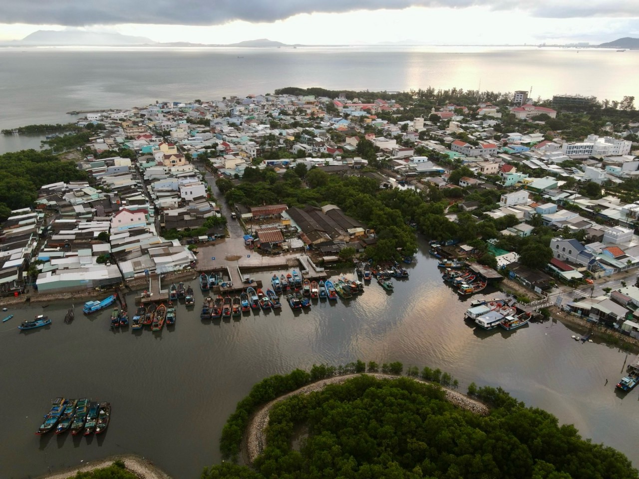 Để ph&aacute;t triển Cần Giờ theo hướng th&agrave;nh phố xanh, cần chọn lọc v&agrave; ưu ti&ecirc;n ph&aacute;t triển c&aacute;c dự &aacute;n đầu tư đặc biệtẢnh: Quốc Anh