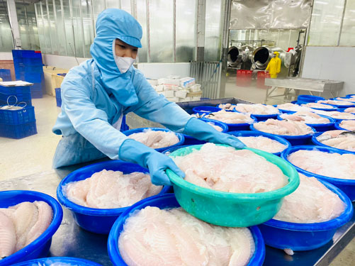 Các ngân hàng thương mại sẽ đẩy mạnh cho vay nhằm đáp ứng nhu cầu vốn của doanh nghiệp trong các lĩnh vực nông - lâm - thủy sản Ảnh: NGỌC TRINH