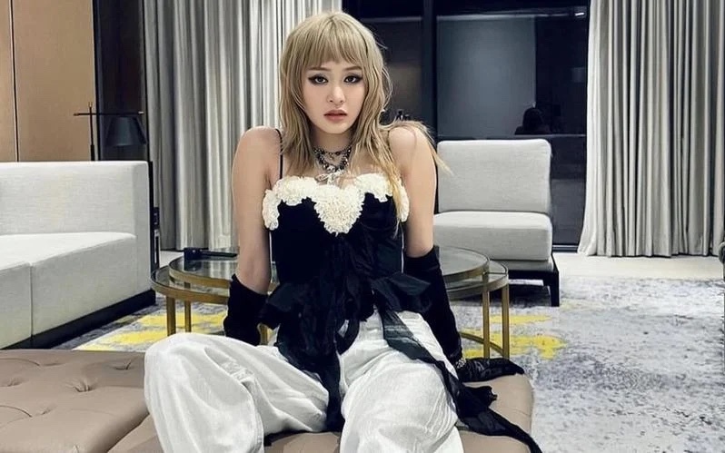 Bị chất vấn "đang làm nghề gì", Hiền Hồ lên tiếng