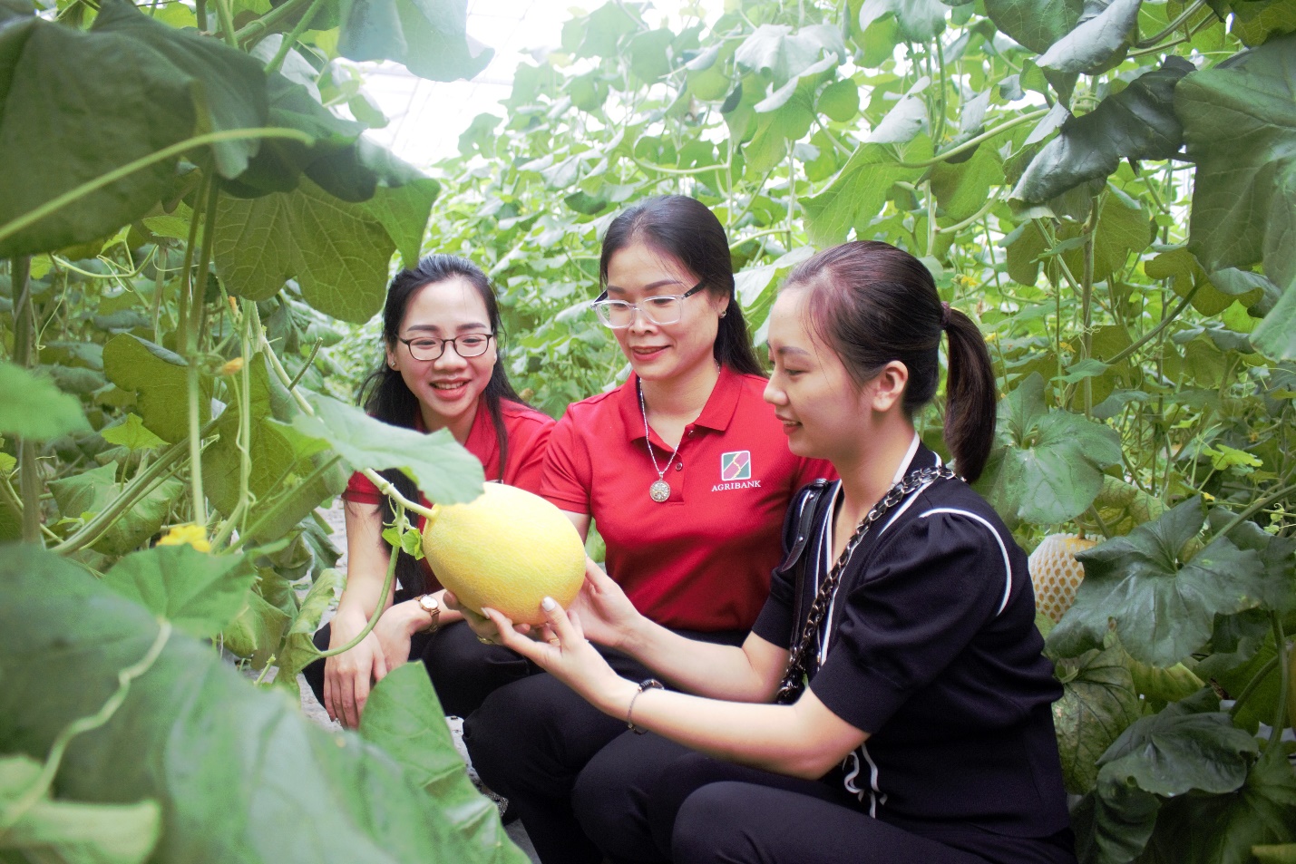 Đồng hành cùng doanh nghiệp vượt khó- Ảnh 4.