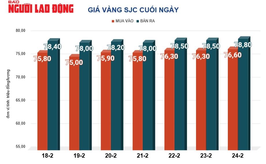 Giá vàng hôm nay 25-2: Vàng SJC, vàng nhẫn cùng cao chót vót- Ảnh 2.