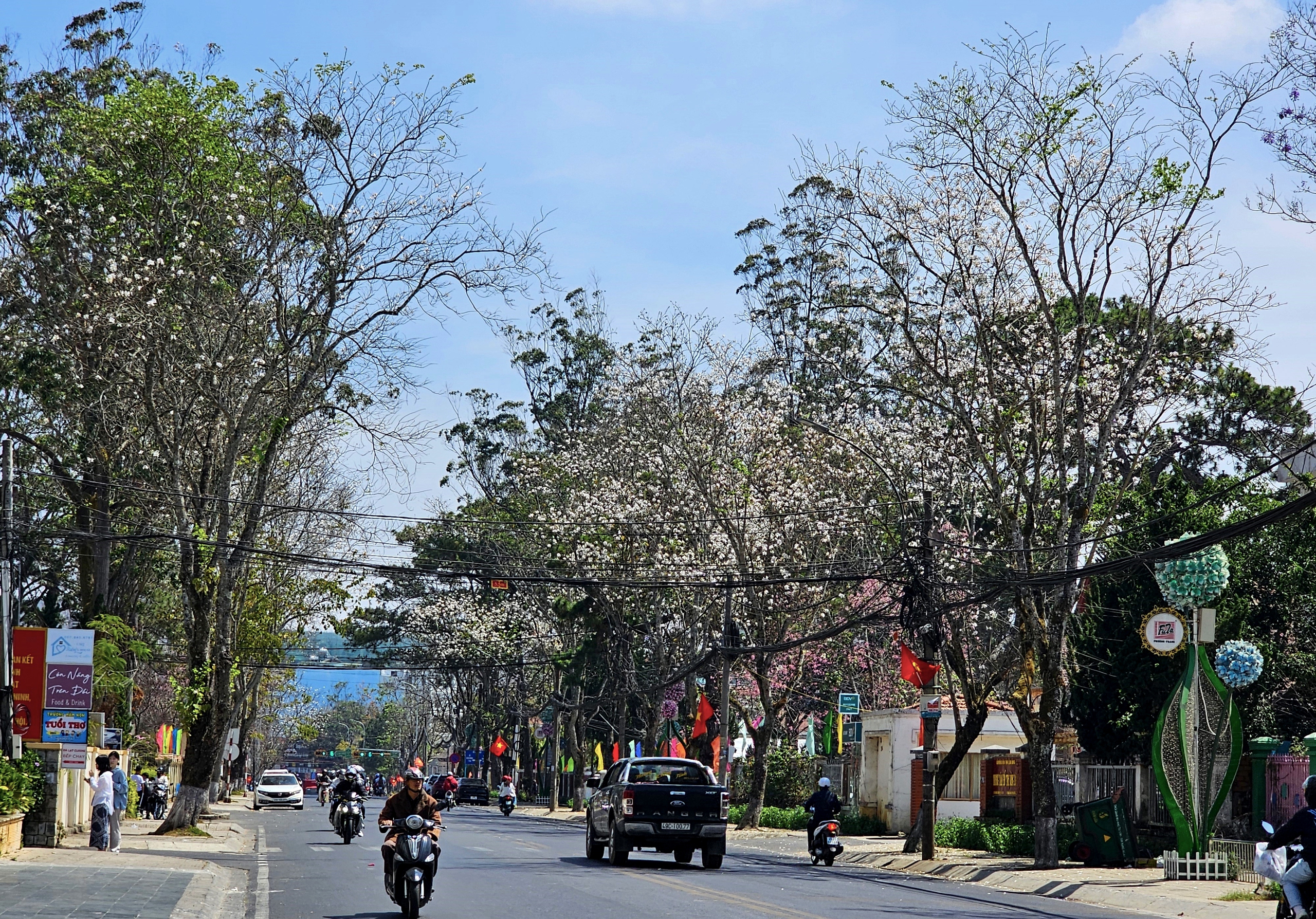 Đà Lạt đẹp mộng mơ với 3 loài hoa đường phố cùng nở- Ảnh 13.