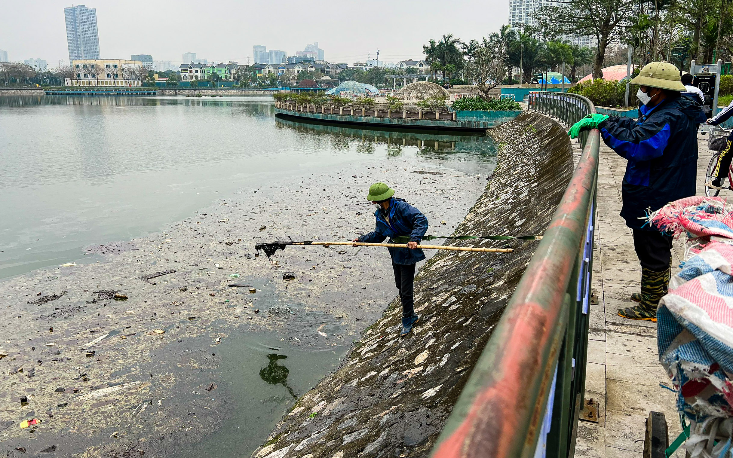 Phát hiện chất lạ màu đen ở nơi cá chết trắng tại công viên Thiên văn học