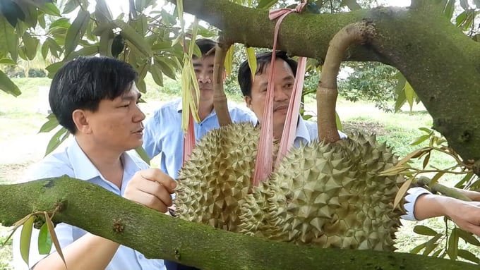 Lý do EuroCham xem trọng kết nối với Bình Phước- Ảnh 4.