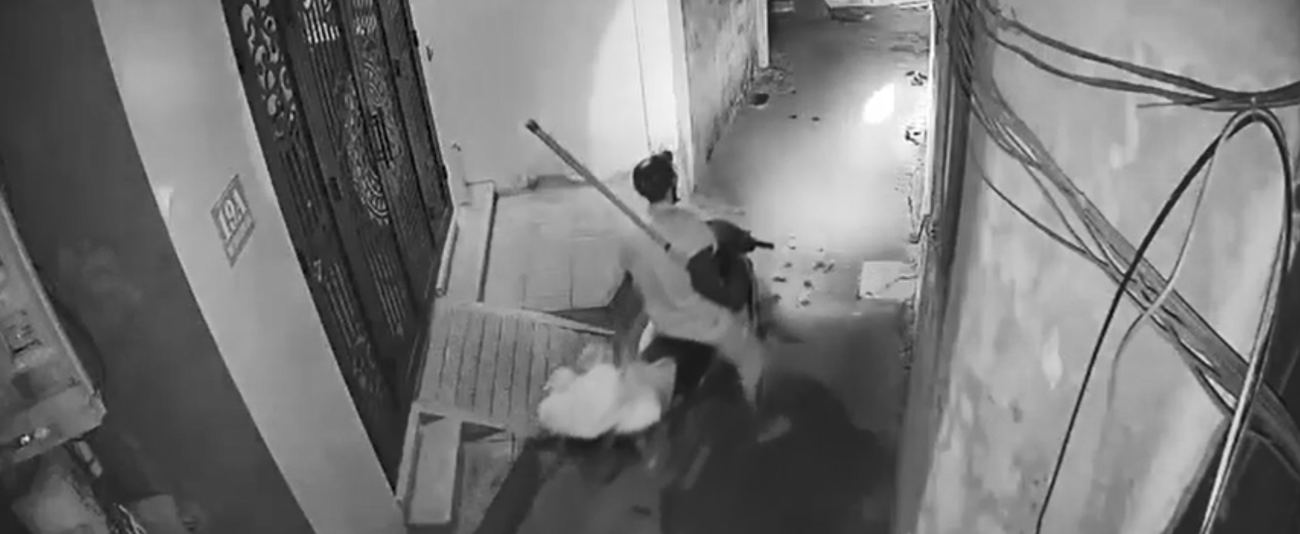 Trộm thú cưng hoành hành: Mòn mỏi đi tìm, hao tốn tiền bạc- Ảnh 5.