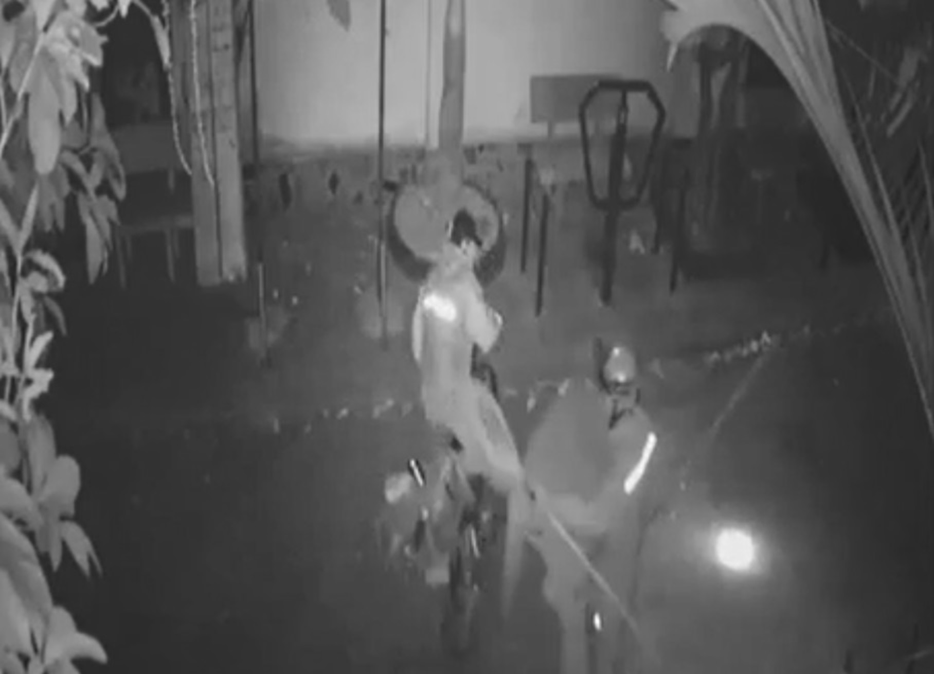 Trộm thú cưng hoành hành: Mòn mỏi đi tìm, hao tốn tiền bạc- Ảnh 4.