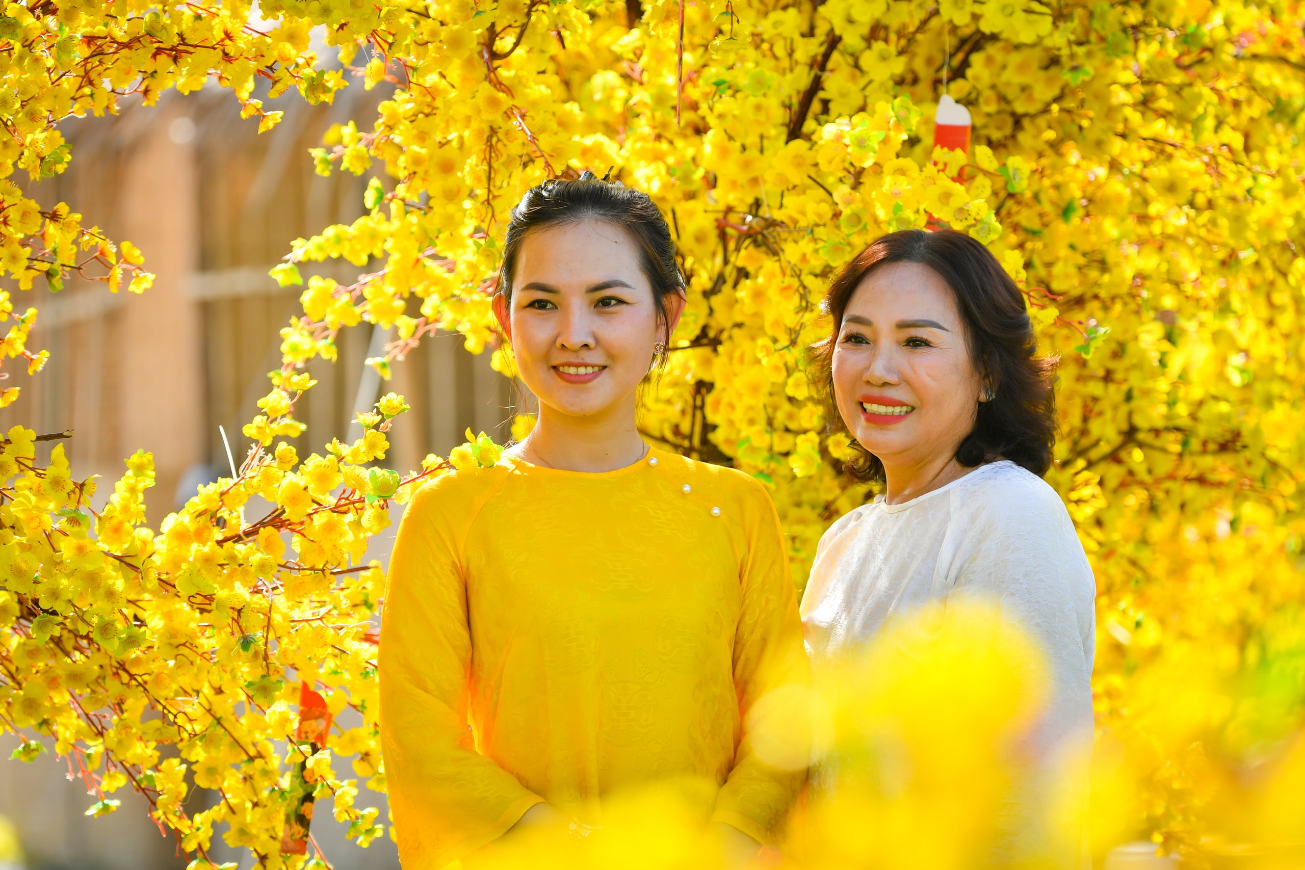 Ấn tượng đường hoa xuân hình bản đồ Việt Nam ở Kiên Giang- Ảnh 8.