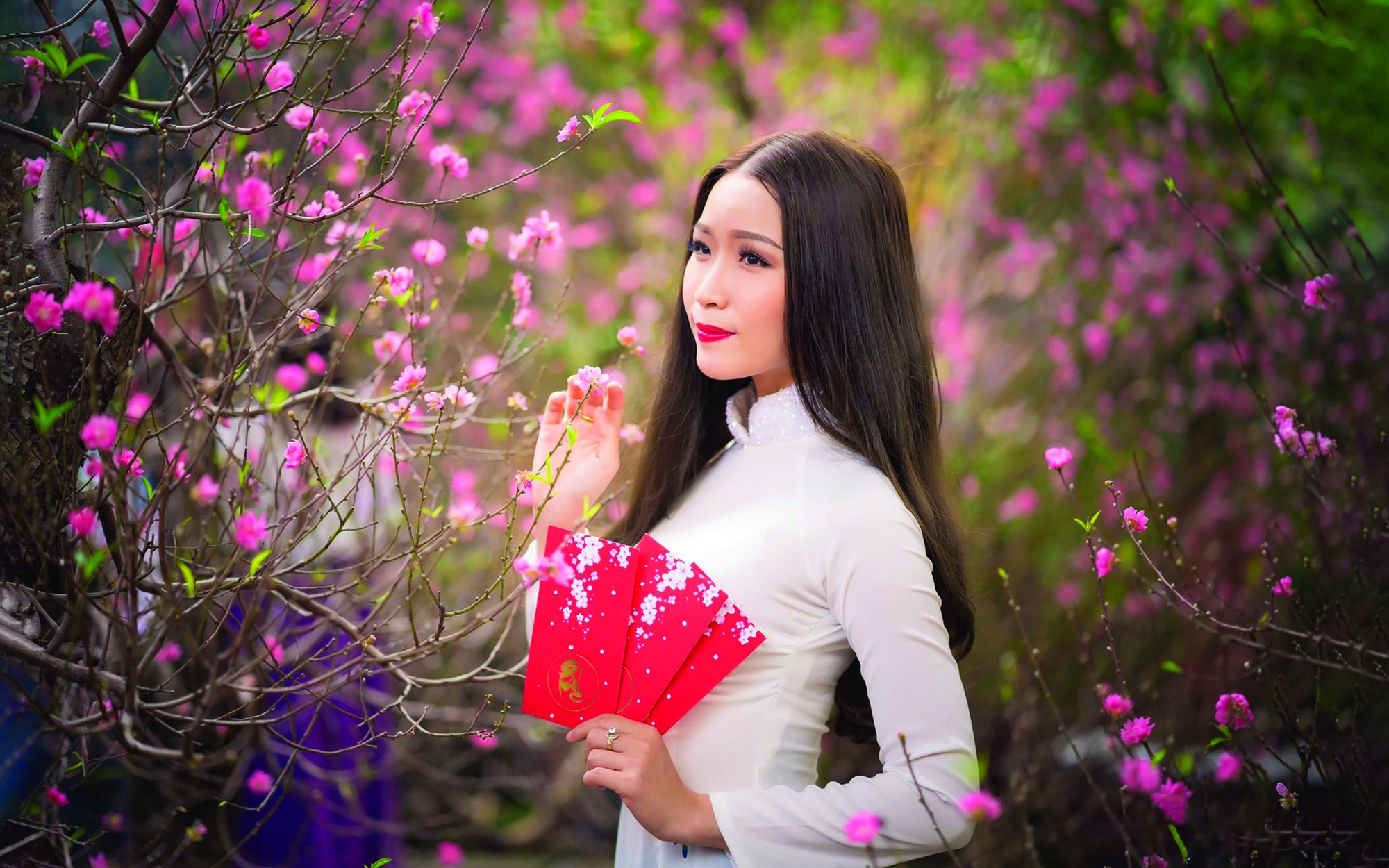 Hoa lá đường xuân