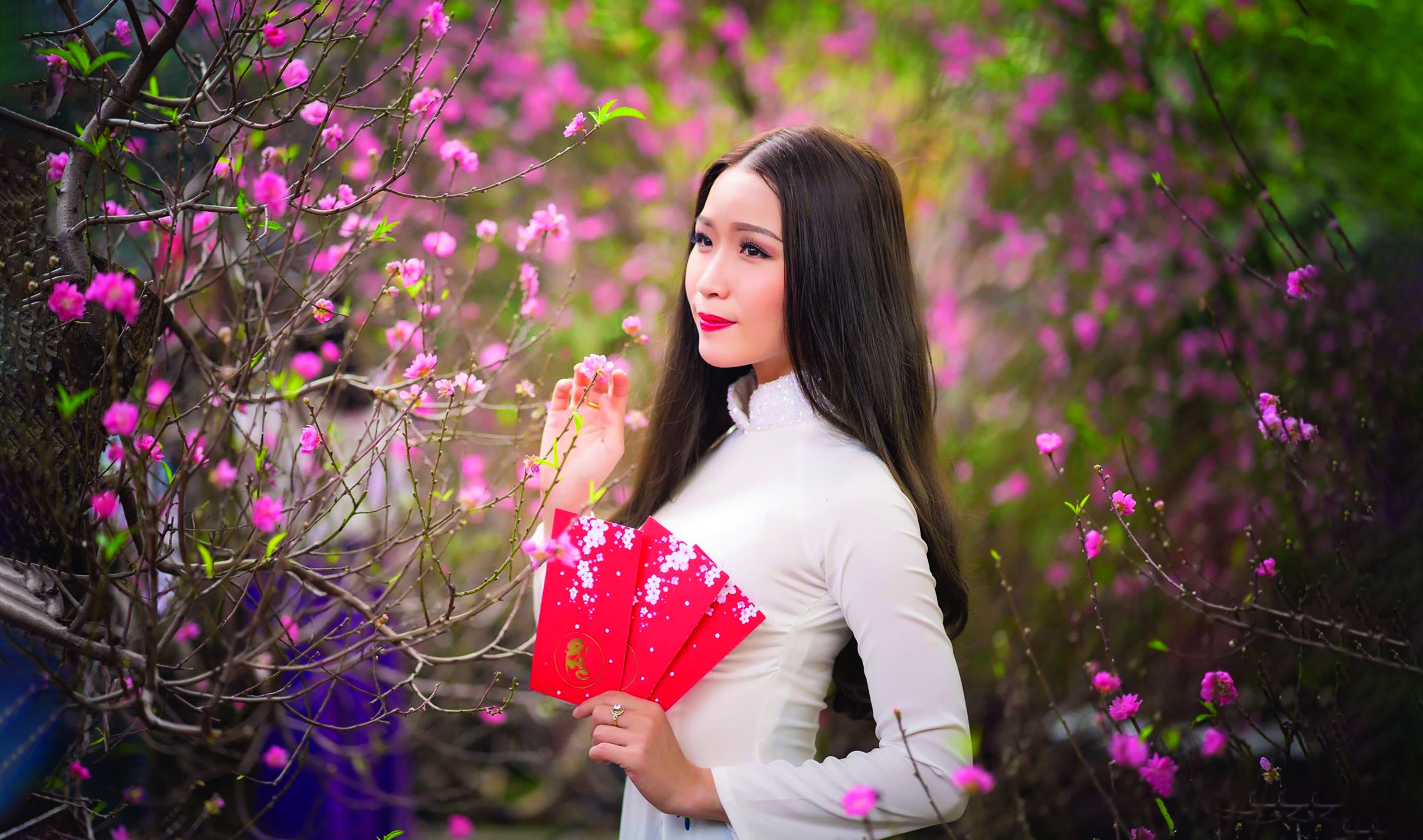 Hoa lá đường xuân- Ảnh 1.