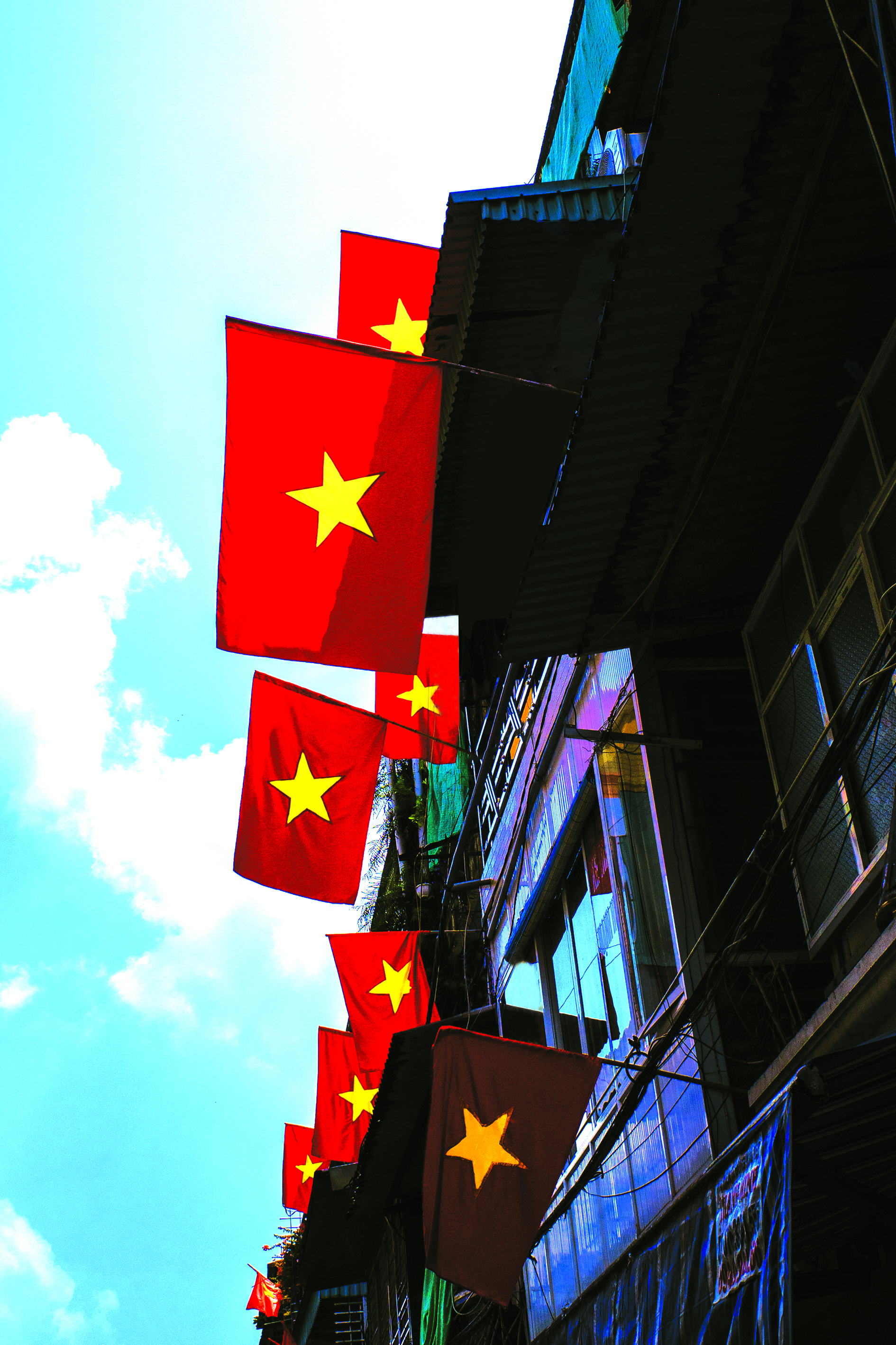 Chữ &ldquo;H&Ograve;A&rdquo; theo t&ocirc;i suốt nhiều năm- Ảnh 1.