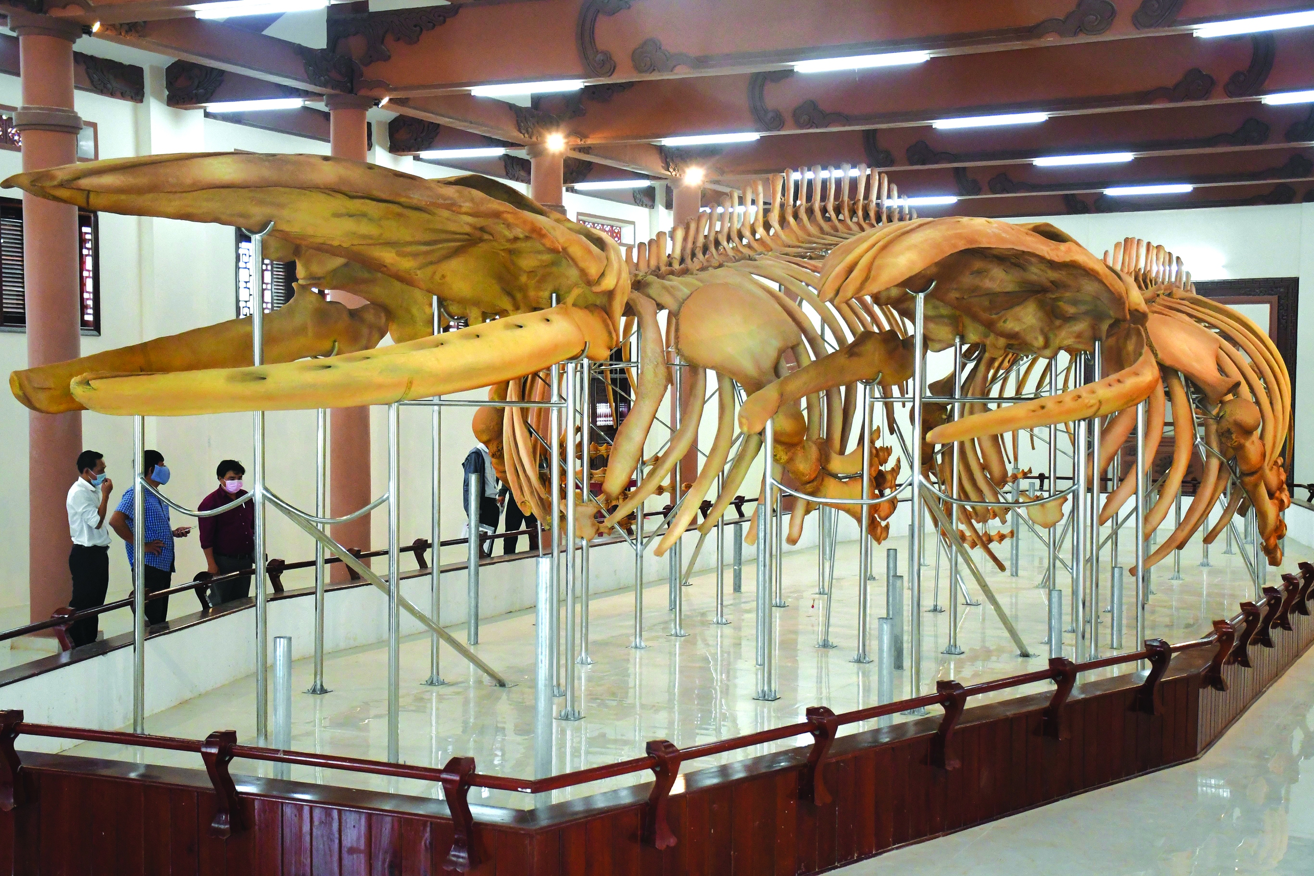 Ly kỳ ngọc cốt hai &ldquo;&ocirc;ng&rdquo;- Ảnh 1.