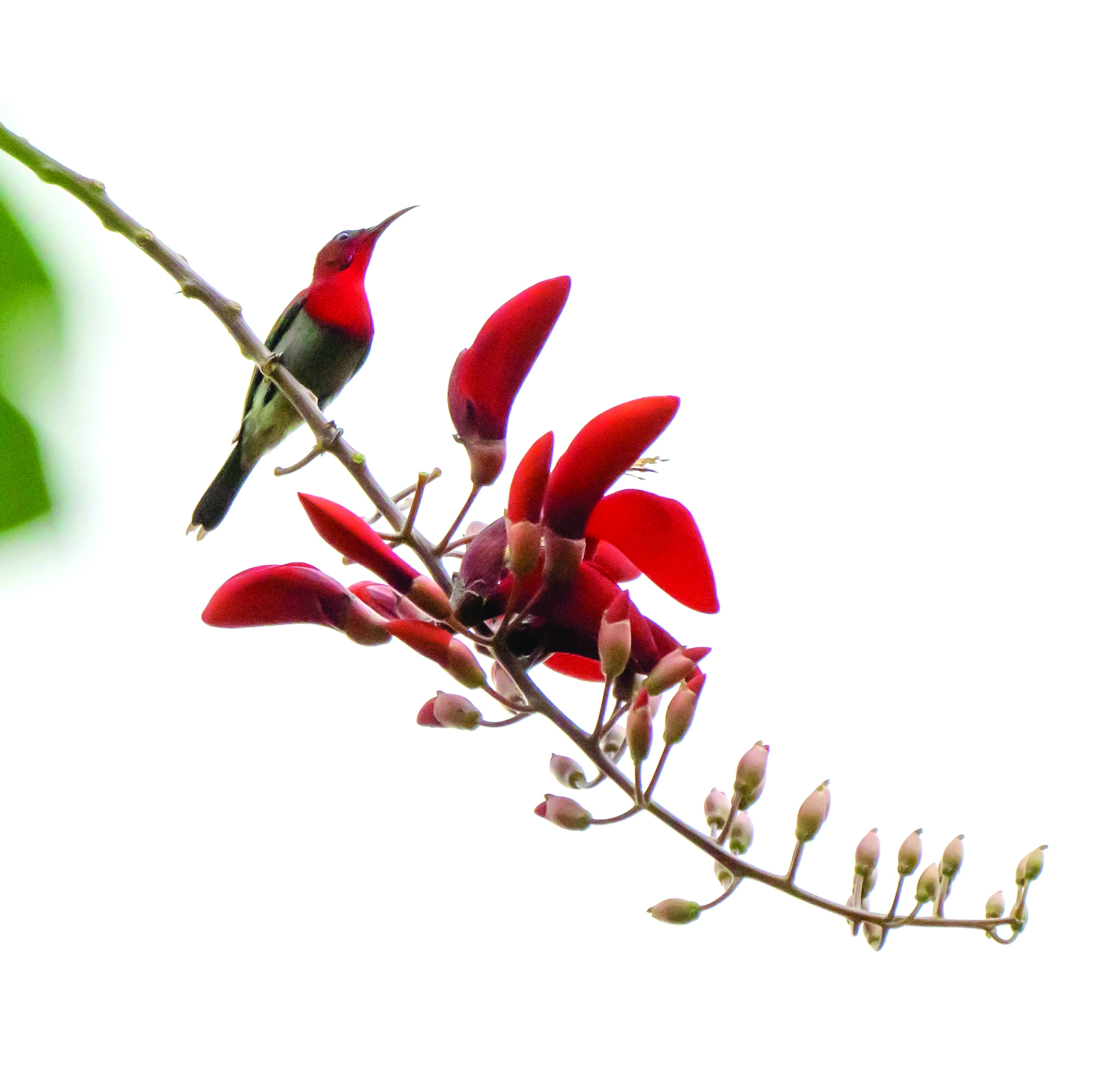 Những hy sinh thầm lặng- Ảnh 2.