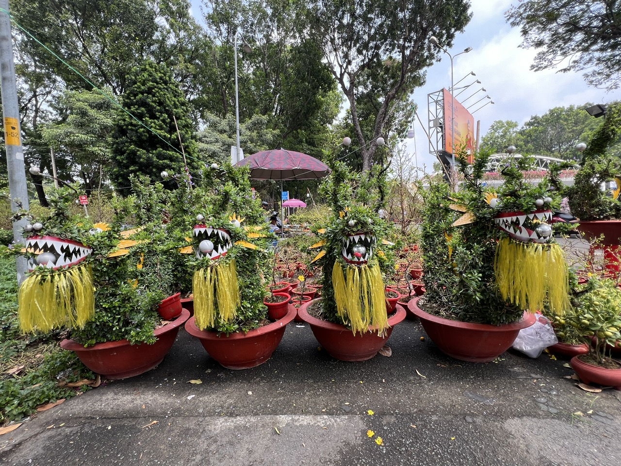 Chậu lan hồ điệp, mai v&agrave;ng tiền tỉ xuất hiện tại TP HCM- Ảnh 7.
