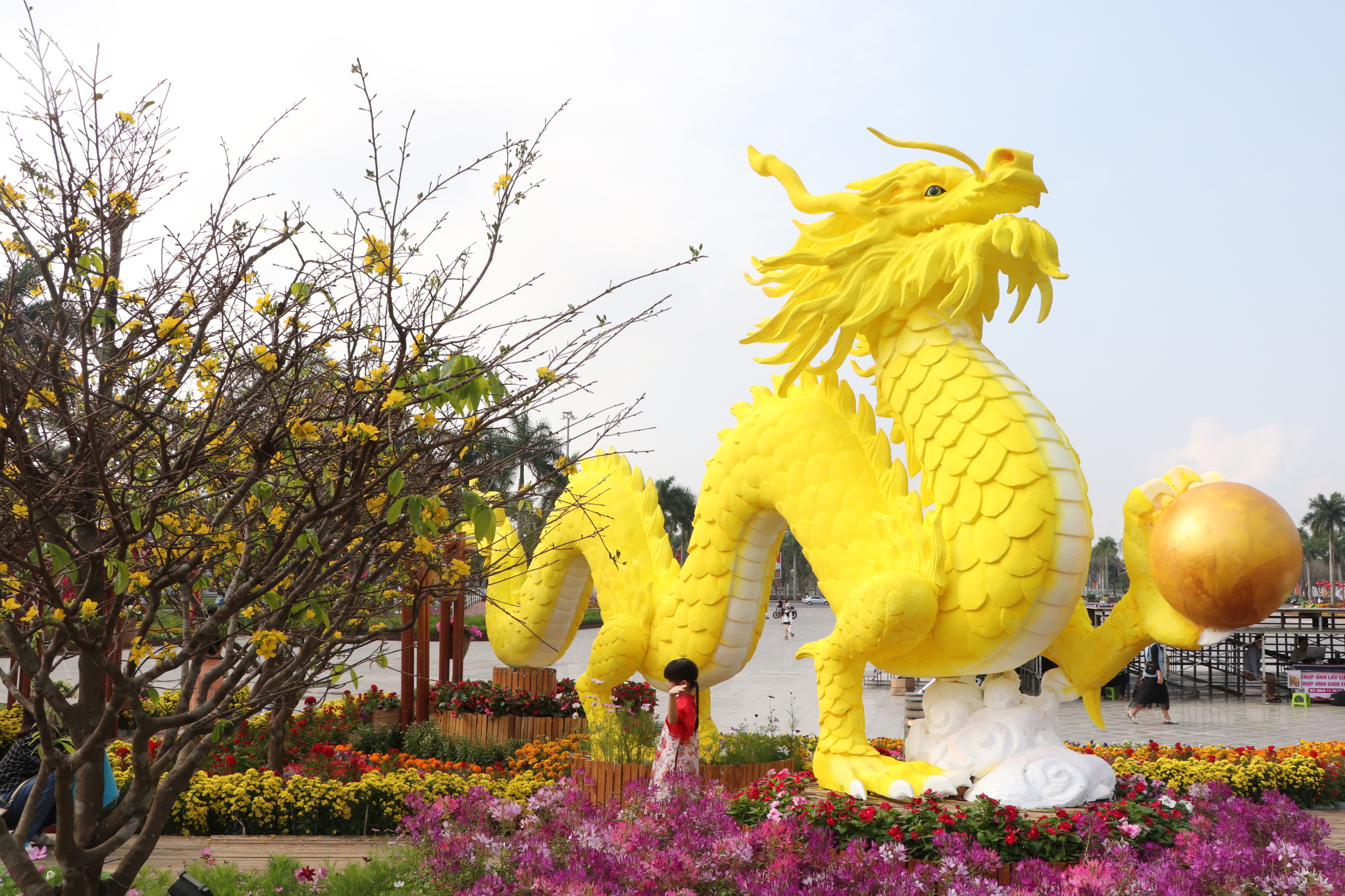Th&iacute;ch th&uacute; check-in b&ecirc;n cặp linh vật rồng v&agrave;ng xứ Quảng- Ảnh 19.