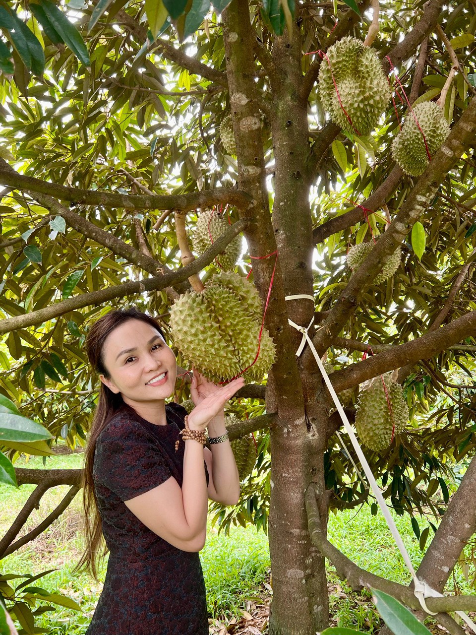Những bàn tay đưa “trái cây theo mùa” của Việt Nam đến Mỹ- Ảnh 2.