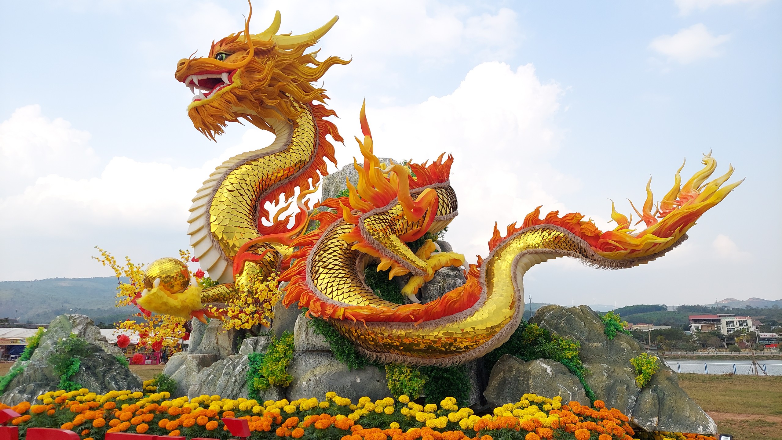 D&ograve;ng người k&eacute;o nhau đến ngắm linh vật rồng ở v&ugrave;ng bi&ecirc;n Lao Bảo- Ảnh 10.