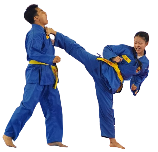 Vovinam với giấc mơ Thế vận hội- Ảnh 2.