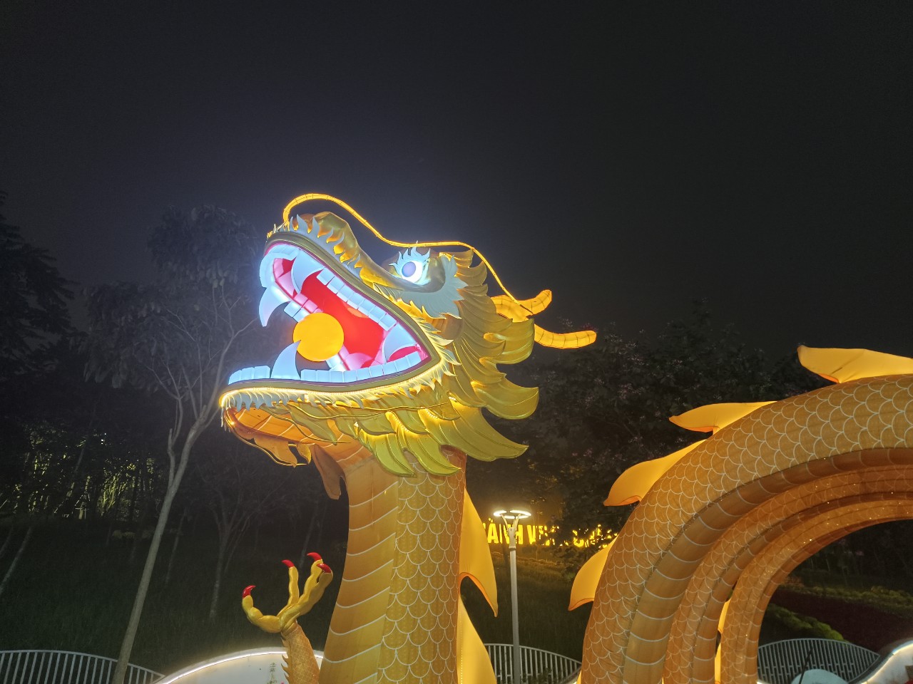 H&agrave;ng ng&agrave;n người tới chi&ecirc;m ngưỡng linh vật rồng ngậm ngọc d&agrave;i 30 m- Ảnh 2.