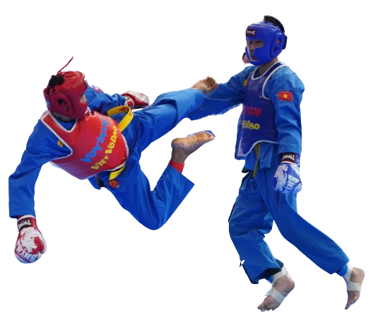 Vovinam với giấc mơ Thế vận hội- Ảnh 1.