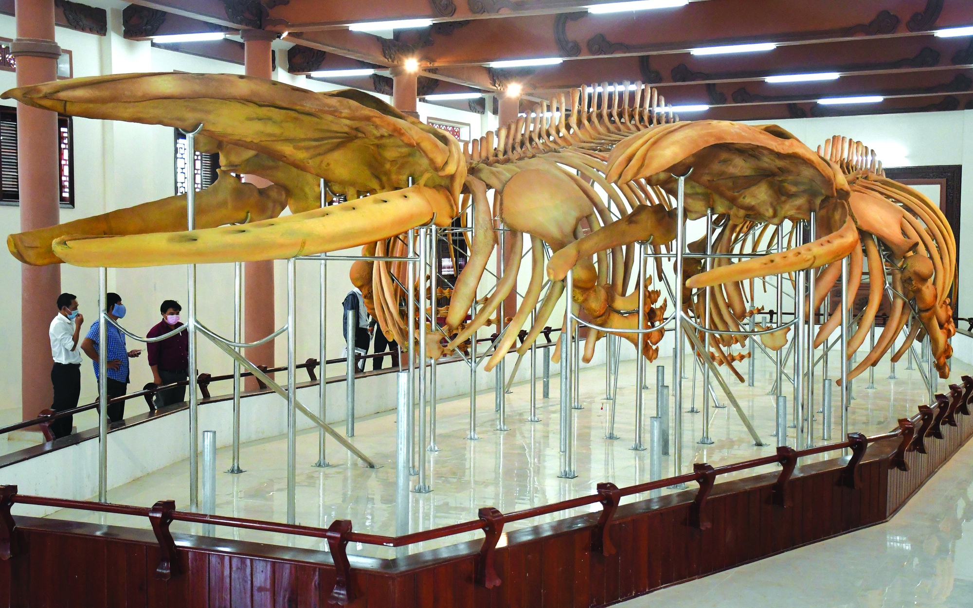 Ly kỳ ngọc cốt hai &ldquo;&ocirc;ng&rdquo;